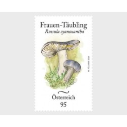 Austria 2024, Flora: grzyb **