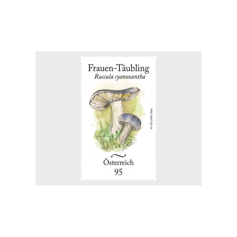 Austria 2024, Flora: grzyb **