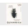 Austria 2024, Owady: biegaczowate **