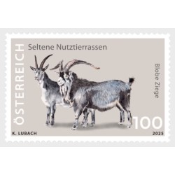 Austria 2025, Fauna: koza **