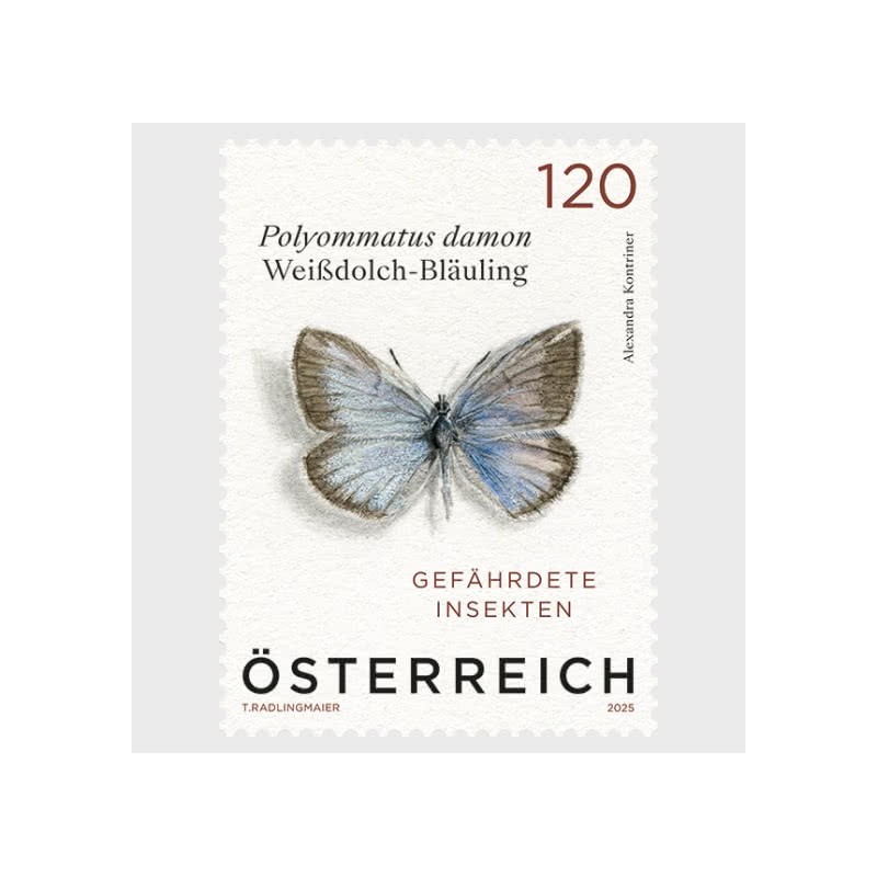 Austria 2025, Owady: motyl **