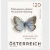 Austria 2025, Owady: motyl **