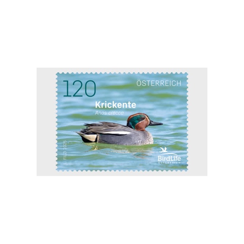 Austria 2025, Ptak: kaczka **