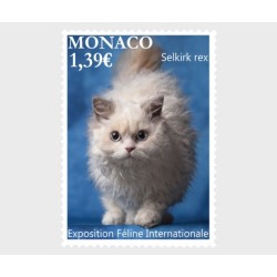 Monako 2025, Kot, wystawa kotów **