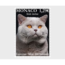 Monako 2024, Kot, wystawa kotów **