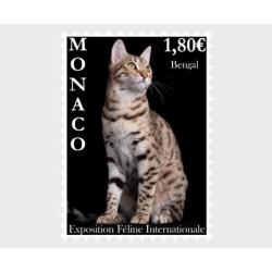 Monako 2023, Kot, wystawa kotów **