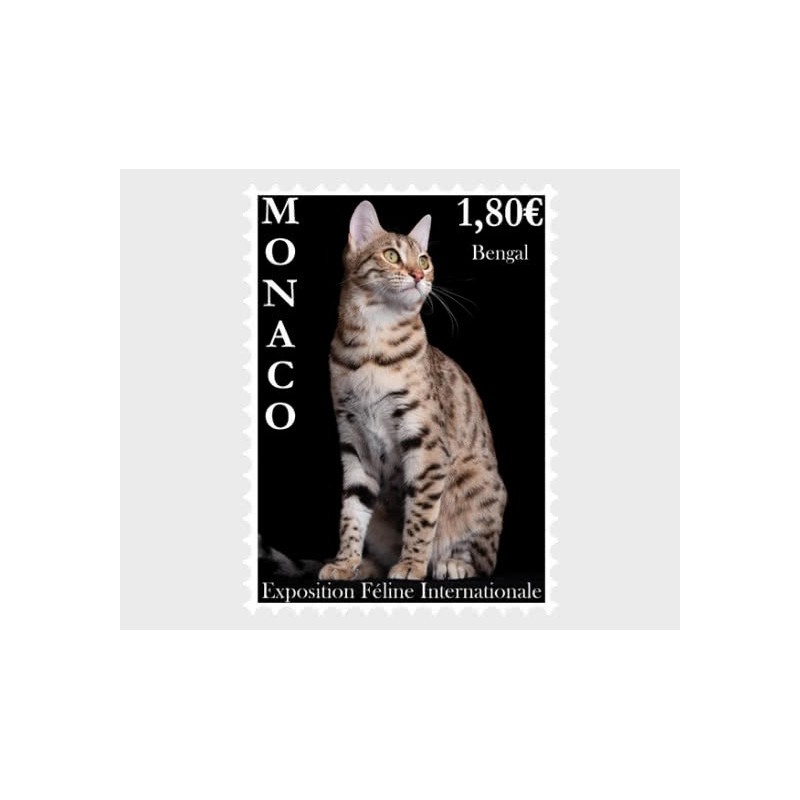 Monako 2023, Kot, wystawa kotów **