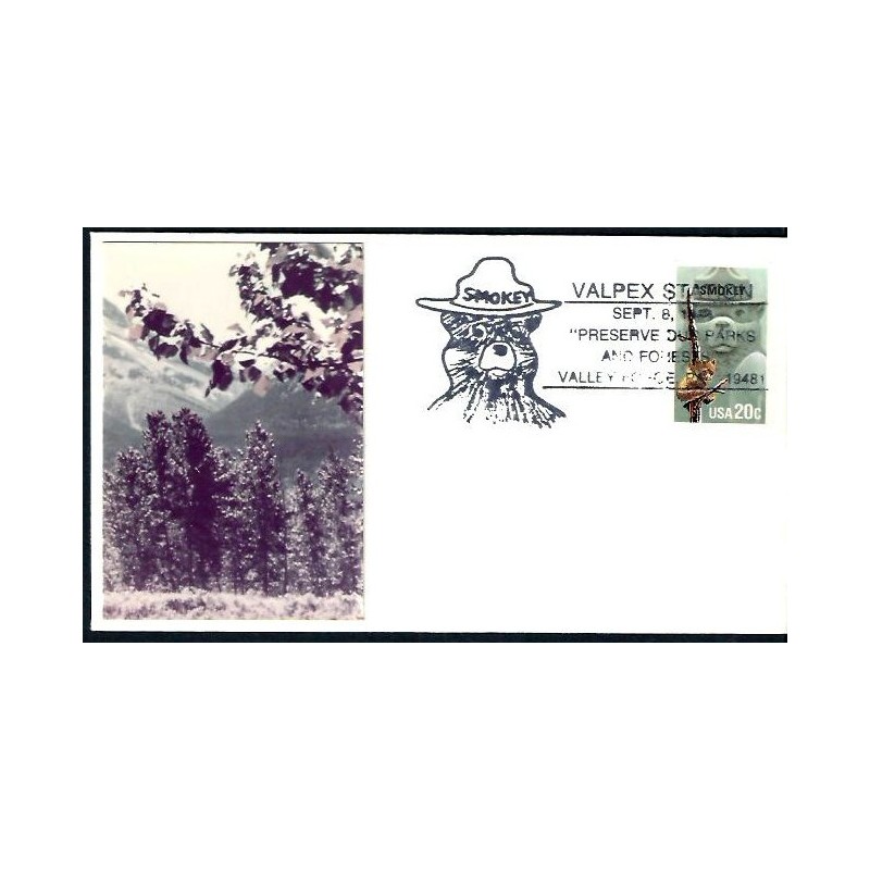 USA 1994, Straż pożarna, niedźwiadek Smokey. Valpex