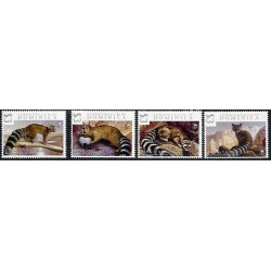 Dominica 2017, Szop szopik. Wildlife **