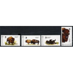 Grenada 2012, Bizon amerykański. Wildlife **