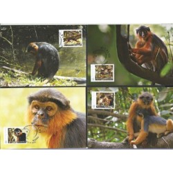 Gwinea Bissau 2012, Małpy. Wildlife. Karty maksimum