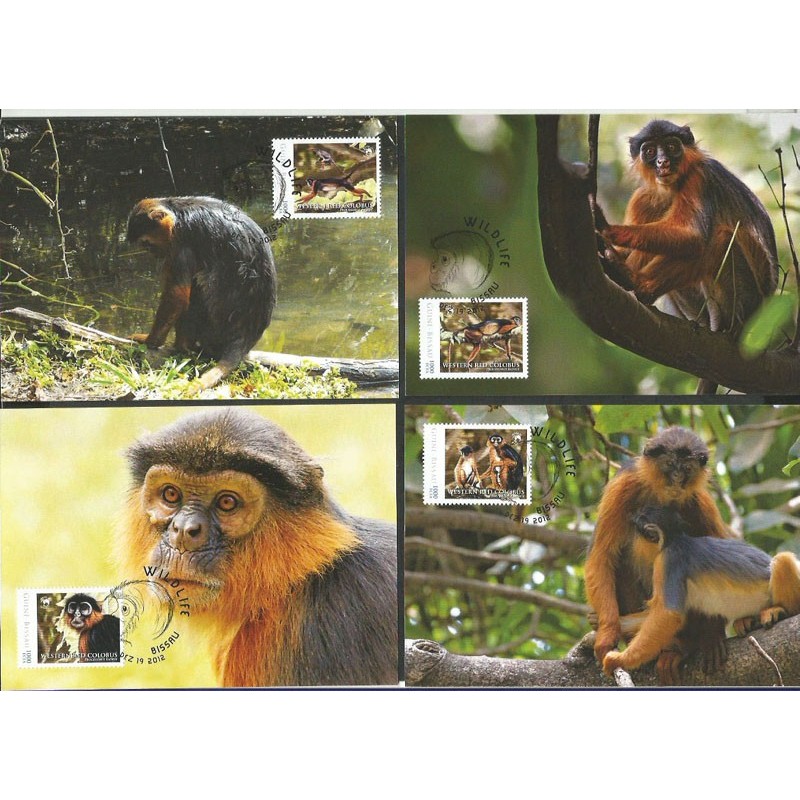 Gwinea Bissau 2012, Małpy. Wildlife. Karty maksimum