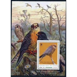 Niger 2013, Ptak jastrząb. Wildlife **