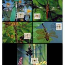 Niemcy 1991, Owady, ćmy. Karta maksimum