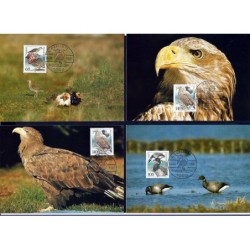 Niemcy 1991, Ptaki. Karta maksimum