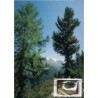 Rumunia 1986, Flora: drzewa. Karta maksimum