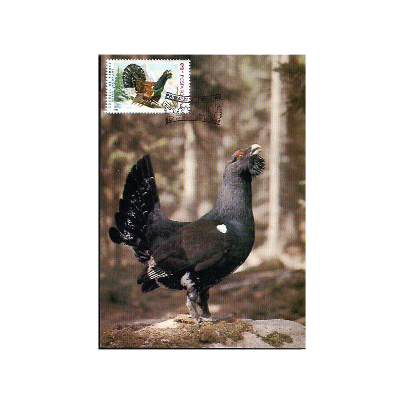 Rumunia 1986, Ptak głuszec. Karta maksimum