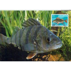 Szwajcaria 1983, Ryba. Karta maksimum