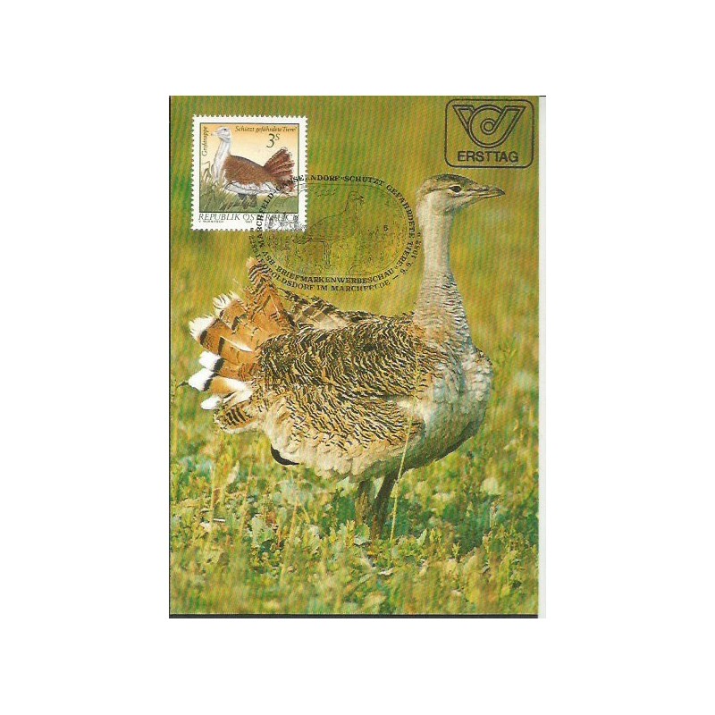 Austria 1982, Fauna. Ptak. Drop wielki. Karta maksimum