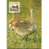 Austria 1982, Fauna. Ptak. Drop wielki. Karta maksimum