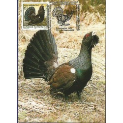 Austria 1982, Fauna. Ptak. Głuszec zachodni. Karta maksimum