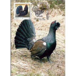 Austria 1982, Fauna. Ptak. Głuszec zachodni. Karta maksimum