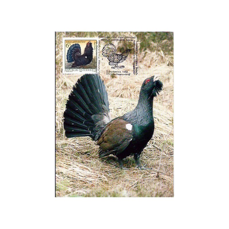 Austria 1982, Fauna. Ptak. Głuszec zachodni. Karta maksimum