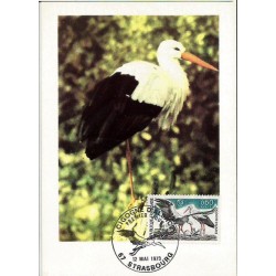 Francja 1973, Ptaki: bocian. Karta maksimum