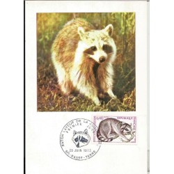 Francja 1973, Ssaki: szop pracz. Karta maksimum