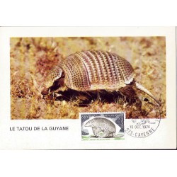 Francja 1974, Ssaki: pancernik. Karta maksimum