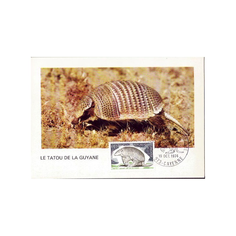 Francja 1974, Ssaki: pancernik. Karta maksimum