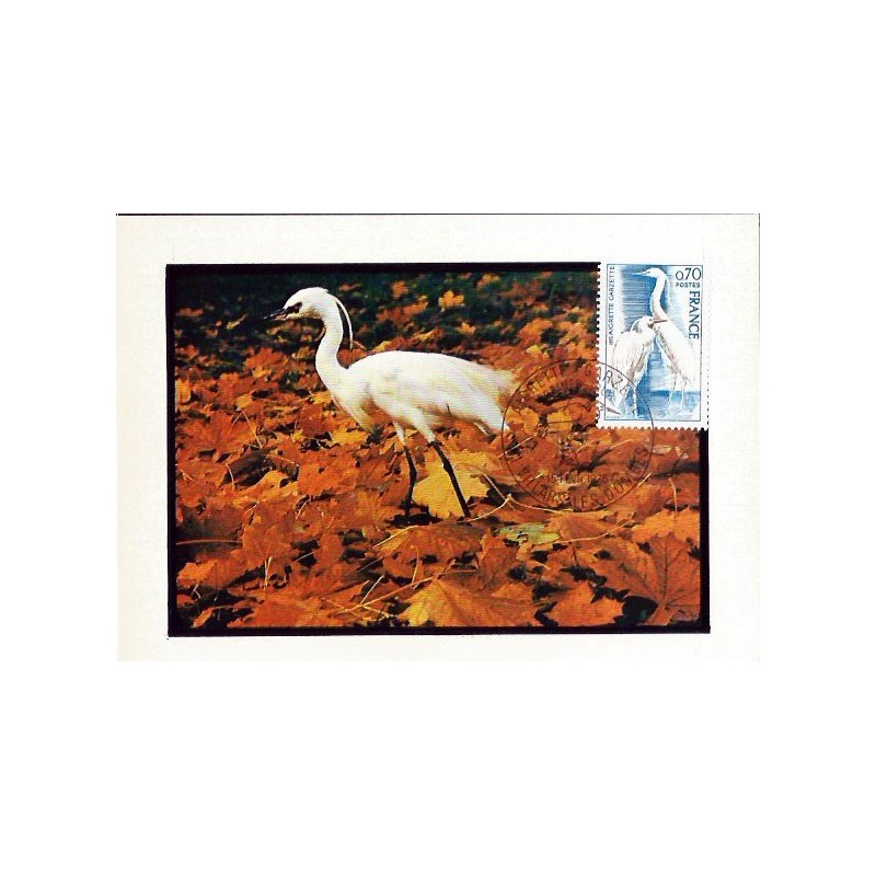 Francja 1975, Ptak: czapla nadobna. Karta maksimum