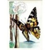 Francja 1976, Owady: motyl. Karta maksimum