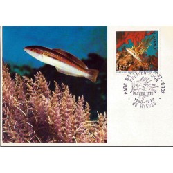 Francja 1978, Ryby: korysdoncela. Karta maksimum