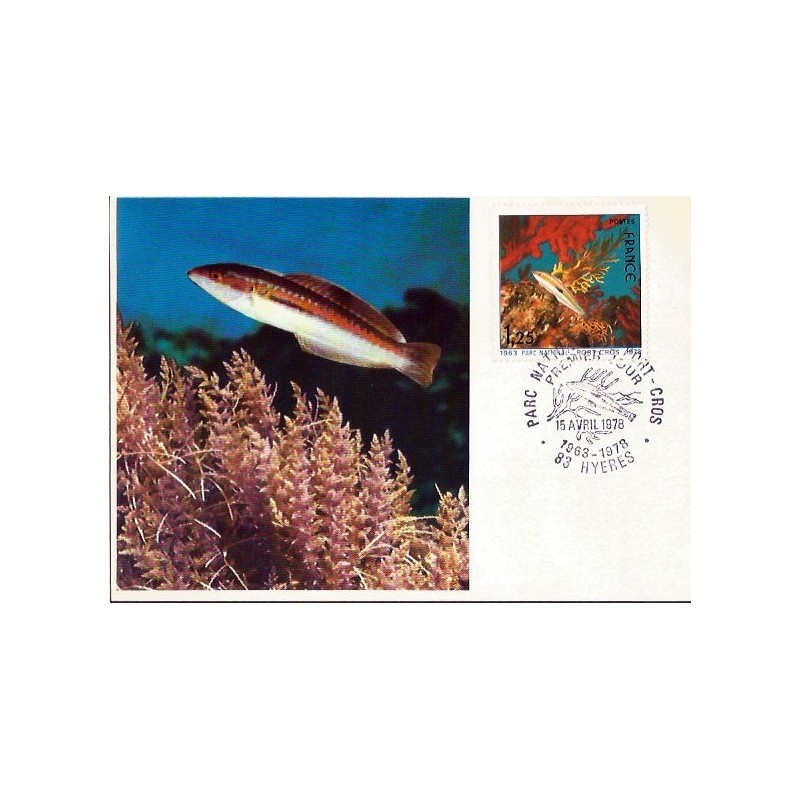 Francja 1978, Ryby: korysdoncela. Karta maksimum