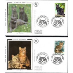 Francja 1999, Fauna: koty. FDC