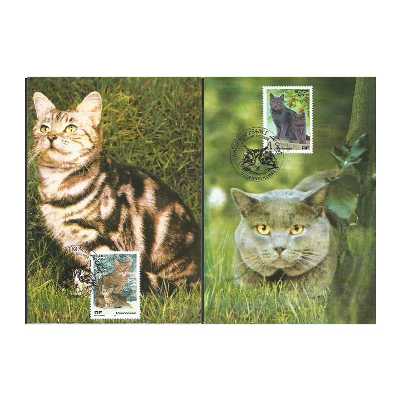Francja 1999, Fauna: koty. Karta maksimum