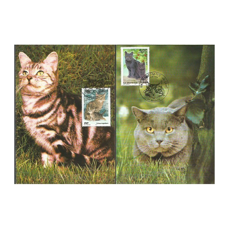 Francja 1999, Fauna: koty. Karta maksimum