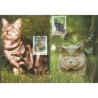 Francja 1999, Fauna: koty. Karta maksimum