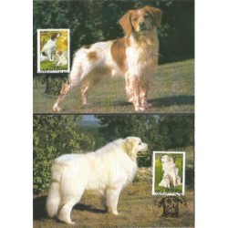 Francja 1999, Fauna: psy. Karta maksimum