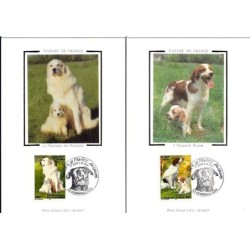 Francja 1999, Fauna: psy. Karta maksimum