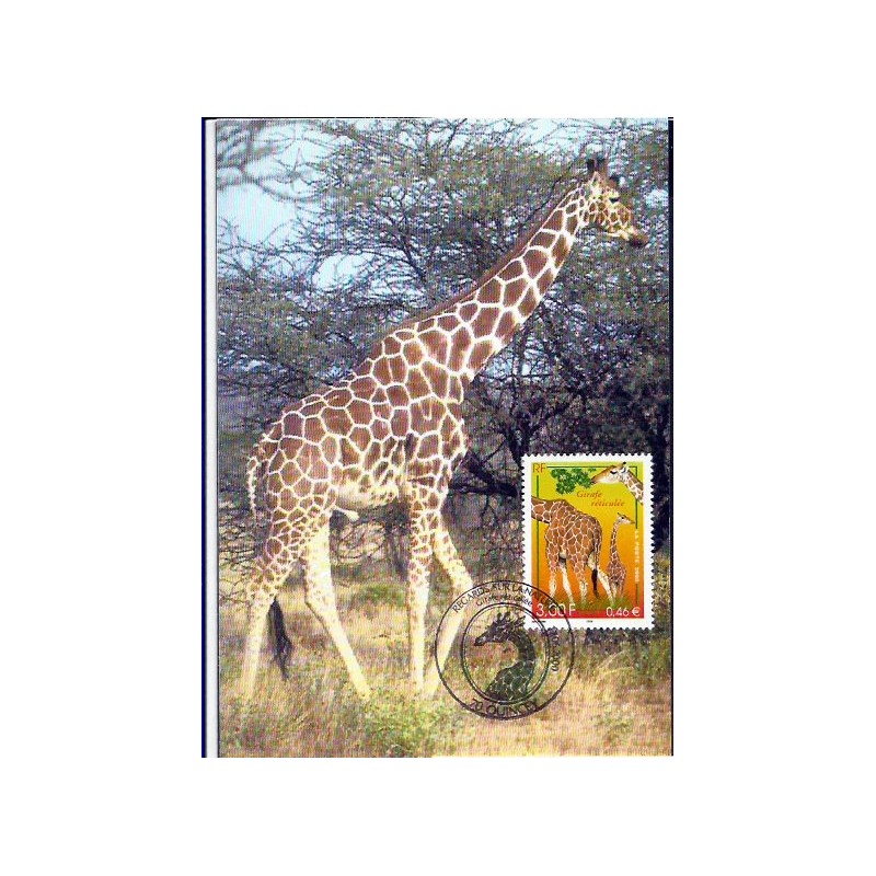 Francja 2000, Fauna: żyrafa. Karta maksimum
