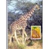 Francja 2000, Fauna: żyrafa. Karta maksimum