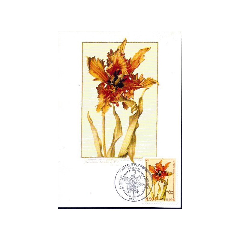 Francja 2000, Flora: kwiat tulipan. Karta maksimum