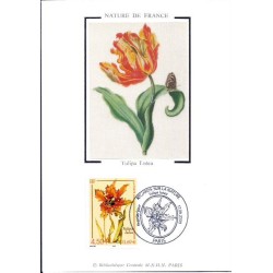 Francja 2000, Flora: kwiat tulipan. Karta maksimum