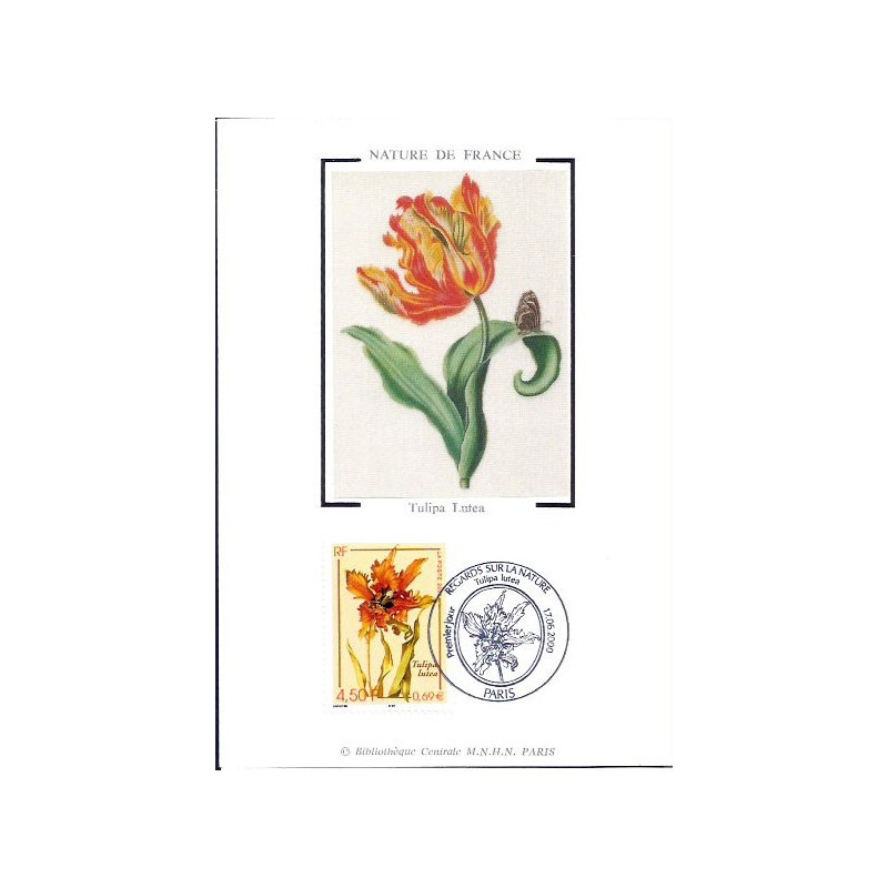 Francja 2000, Flora: kwiat tulipan. Karta maksimum
