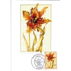 Francja 2000, Flora: kwiat tulipan. Karta maksimum