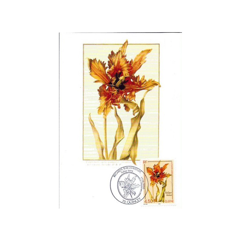 Francja 2000, Flora: kwiat tulipan. Karta maksimum