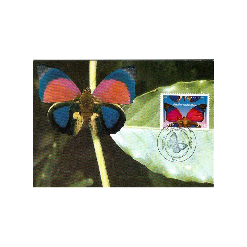 Francja 2000, Owady: motyl. Karta maksimum
