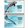 Nowa Kaledonia 2005, Ssaki wodne, delfiny. Karty maksimum